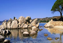 中国最新体育动态有哪些亮点？